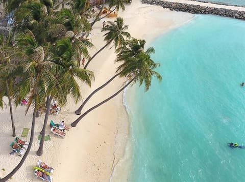 On the beach, white sand, beach towels