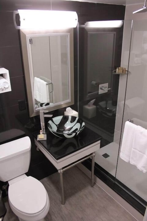 Combined shower/tub, hair dryer, towels