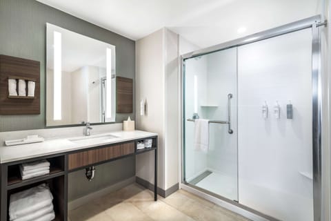 King evolution suite | Bathroom shower