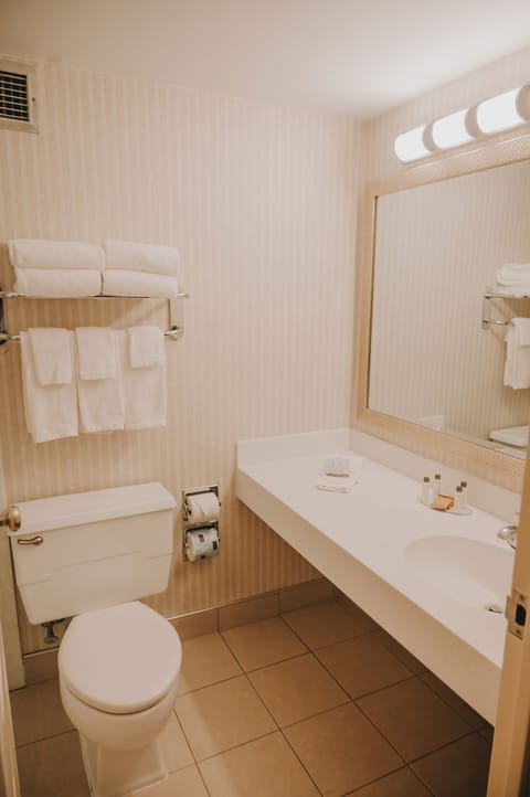 Combined shower/tub, free toiletries, hair dryer, towels