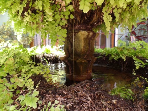Fountain