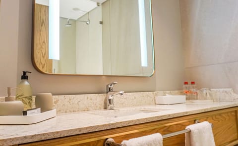 Premium Room, 1 King Bed | Bathroom | Combined shower/tub, free toiletries, hair dryer