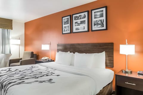 Room, 1 King Bed, Non Smoking | In-room safe, desk, iron/ironing board, free WiFi