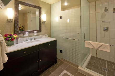North Junior Suite King  with Sofa Non-Smoking | Bathroom | Combined shower/tub, free toiletries, hair dryer, towels