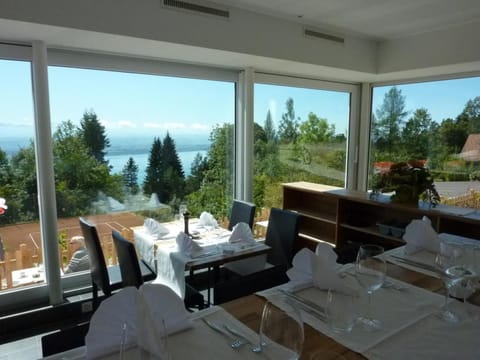 Lunch and dinner served