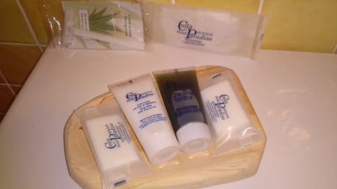 Classic Double Room | Bathroom | Shower, free toiletries, hair dryer, bathrobes