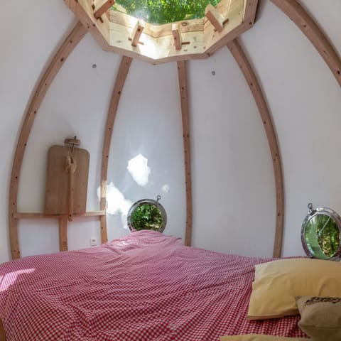 Basic Tree House | Living area