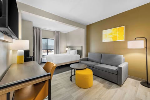 Suite, 1 Queen Bed, Accessible, Non Smoking (Sofa Bed) | Desk, blackout drapes, iron/ironing board, free cribs/infant beds