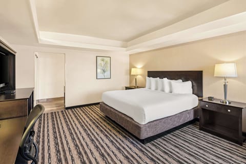 Standard Room, 1 King Bed, Non Smoking, Refrigerator & Microwave | Pillowtop beds, desk, blackout drapes, iron/ironing board