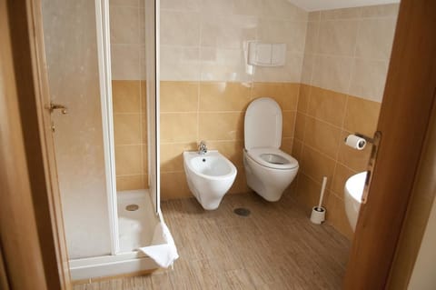 Shower, free toiletries, hair dryer, bidet