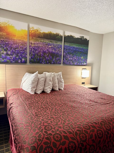 Standard Room, 1 King Bed, Smoking | Desk, blackout drapes, iron/ironing board, free cribs/infant beds