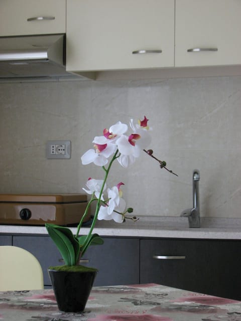 Apartment, 1 Bedroom, Balcony, Garden View | Private kitchen | Fridge, stovetop, electric kettle, cookware/dishes/utensils