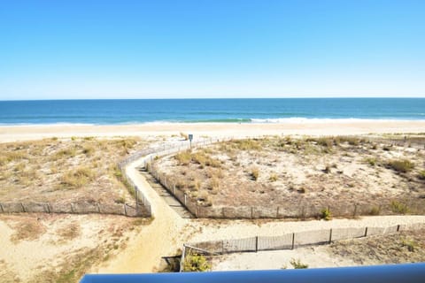 Condo, 3 Bedrooms | Beach | On the beach