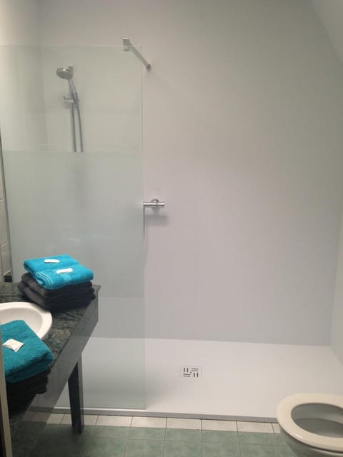 Shower, free toiletries, hair dryer, towels