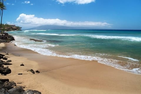 Condo, 2 Bedrooms | Beach | On the beach