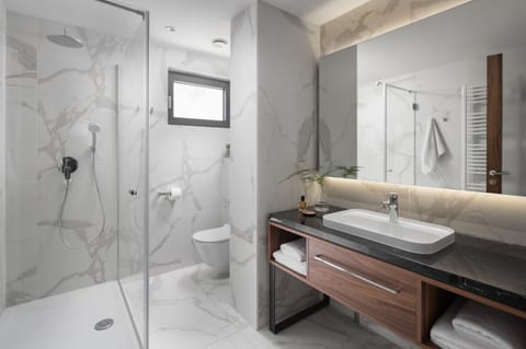 Shower, free toiletries, hair dryer, towels