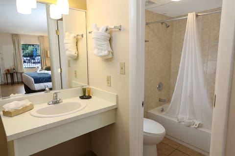 Combined shower/tub, free toiletries, hair dryer, towels