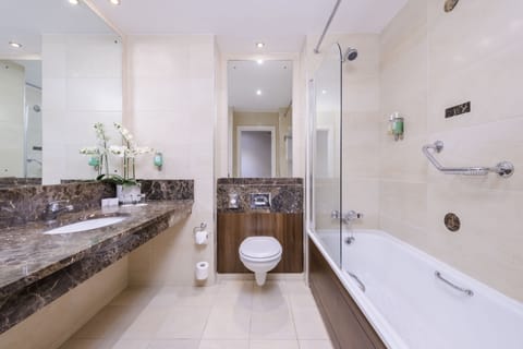 Combined shower/tub, free toiletries, hair dryer, towels