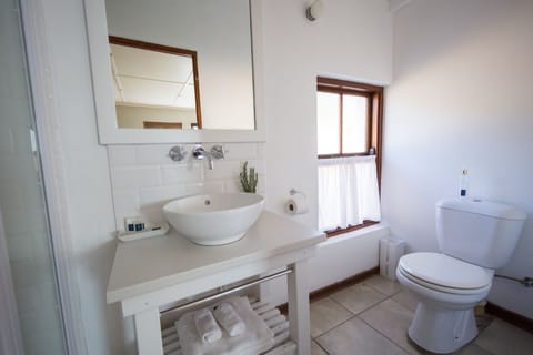 Family Room (with Shower) | Bathroom | Designer toiletries, towels