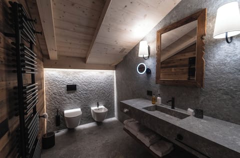 Hair dryer, bathrobes, bidet, towels