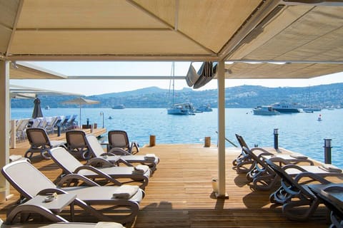 Sundeck