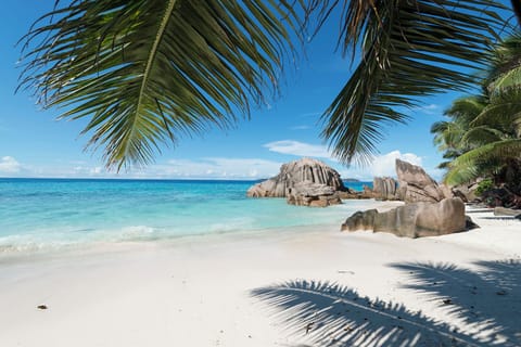 Beach nearby, white sand
