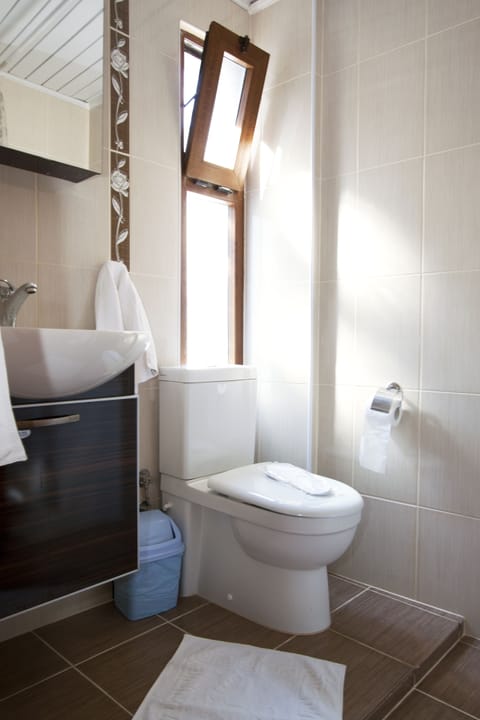 Shower, free toiletries, hair dryer, slippers