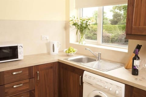 Full-size fridge, microwave, oven, stovetop