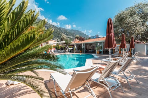 Outdoor pool, sun loungers