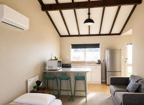 Standard Apartment, 1 Bedroom, Kitchen | Private kitchenette | Fridge, microwave, electric kettle, cookware/dishes/utensils