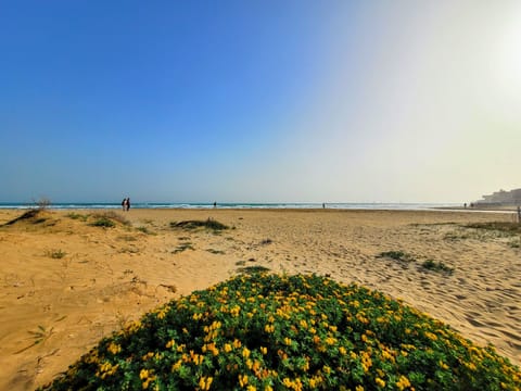 Beach nearby, white sand