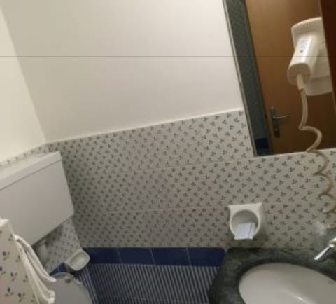 Hair dryer, bidet, towels