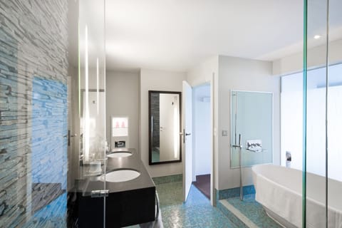 Separate tub and shower, free toiletries, hair dryer, bathrobes