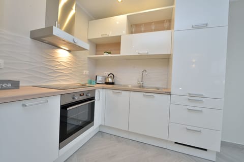 Superior Apartment, 1 Queen Bed with Sofa bed | Private kitchen | Fridge, microwave, oven, stovetop