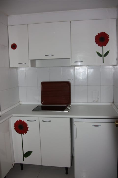 Full-size fridge, microwave, stovetop, electric kettle