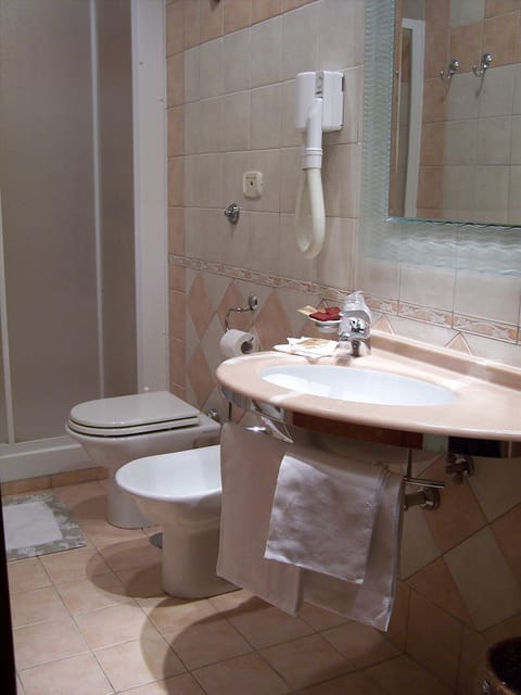 Shower, free toiletries, hair dryer, bidet