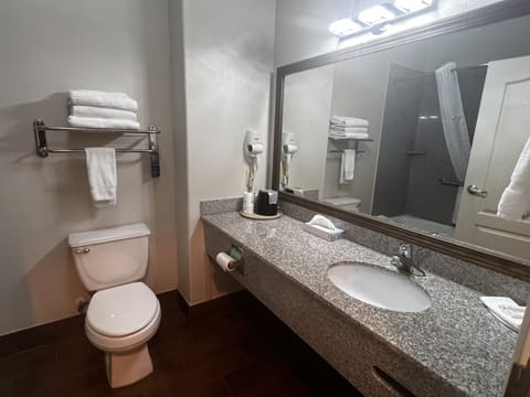 Combined shower/tub, free toiletries, hair dryer, towels