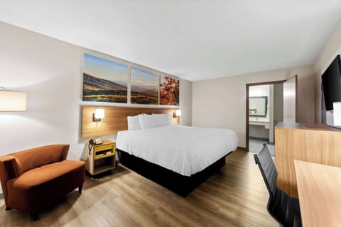 Room, 1 King Bed, Accessible, Smoking | Desk, iron/ironing board, free cribs/infant beds, free WiFi