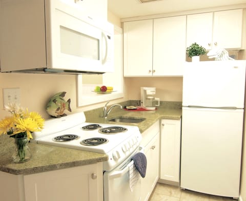 Standard Suite - Main Building | Private kitchen | Fridge, microwave, stovetop, coffee/tea maker