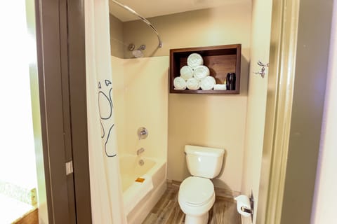 Combined shower/tub, hair dryer, towels
