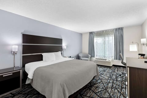 Standard Room, 1 King Bed, Non Smoking | Desk, laptop workspace, blackout drapes, iron/ironing board