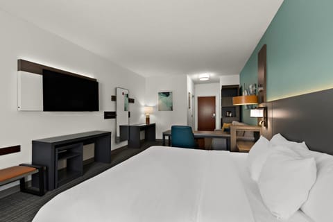 Suite, 1 King Bed with Sofa bed, Non Smoking | Premium bedding, down comforters, pillowtop beds, desk