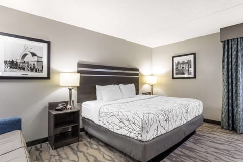 Standard Room, 1 King Bed, Accessible, Refrigerator & Microwave | Pillowtop beds, desk, laptop workspace, blackout drapes