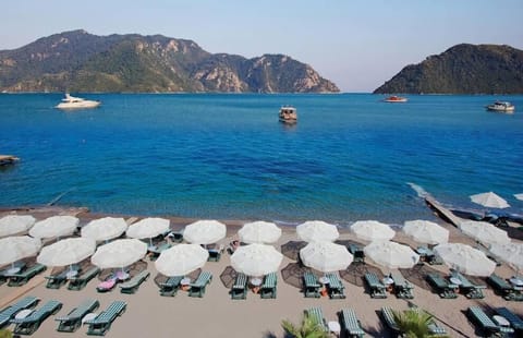 Private beach, sun loungers, beach umbrellas, beach bar