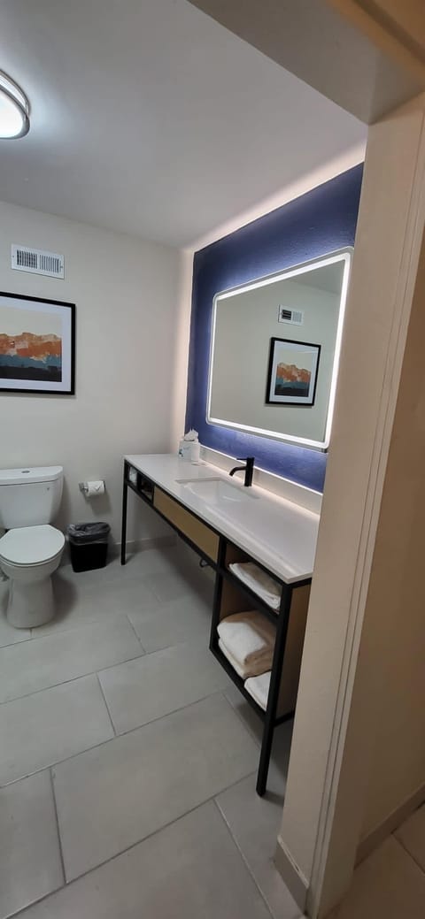 Room, 1 King Bed, Non Smoking | Bathroom | Hair dryer, towels