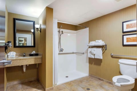 Suite, 1 King Bed with Sofa bed, Accessible, Non Smoking | Bathroom | Combined shower/tub, free toiletries, hair dryer, towels