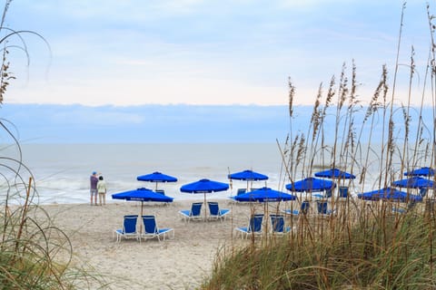 On the beach, sun loungers, beach umbrellas, fishing