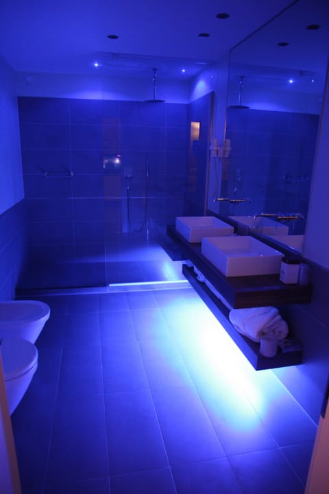 Shower, free toiletries, hair dryer, bathrobes