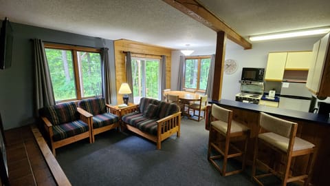 Condo, 1 Bedroom, Jetted Tub, Slope side (Lower Level) | Living area