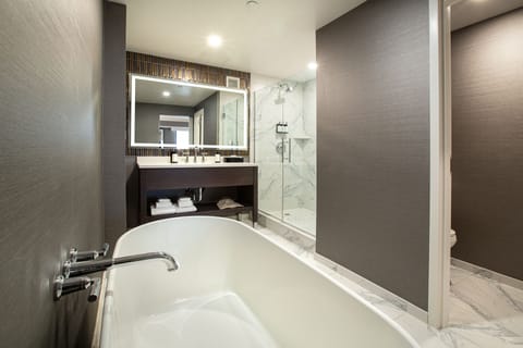 Aspen Tower Executive Suite I Hearing/Visual | Bathroom | Hair dryer, towels, soap, shampoo